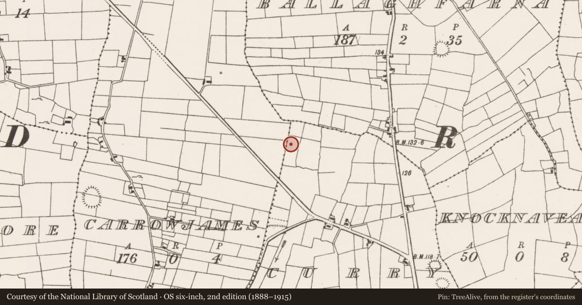 Ordnance Survey six-inch map, 2nd edition (1888–1915) covering the location of Standing stone, Curry (Carra By., Drum Par.), County Mayo, with a pin at the register's coordinates