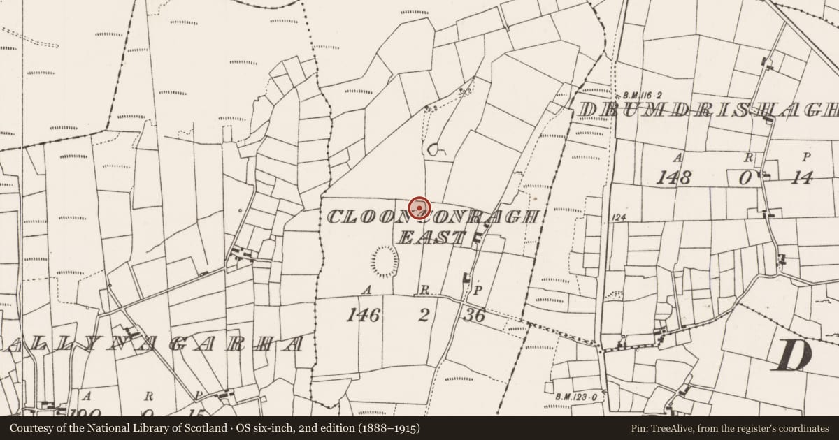 Ordnance Survey six-inch map, 2nd edition (1888–1915) covering the location of Fulacht fia, Cloonconragh East, County Mayo, with a pin at the register's coordinates