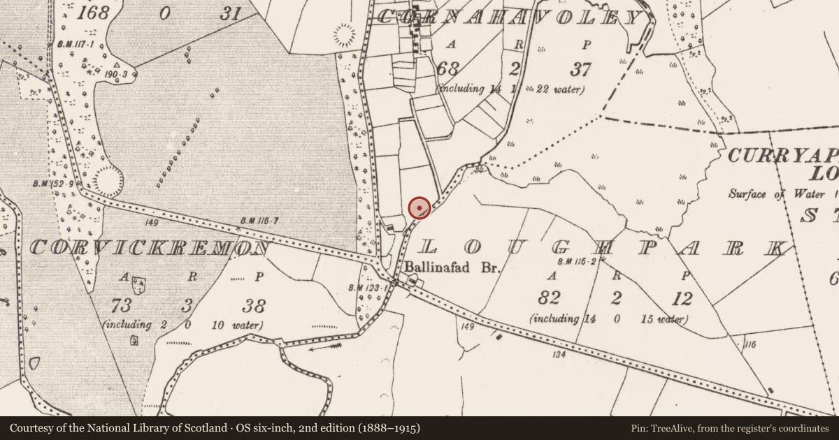 Ordnance Survey six-inch map, 2nd edition (1888–1915) covering the location of Fulacht fia, Cornahavoley, County Mayo, with a pin at the register's coordinates