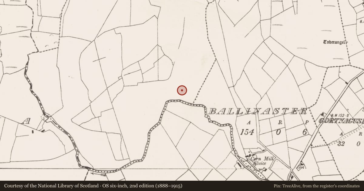 Ordnance Survey six-inch map, 2nd edition (1888–1915) covering the location of Moated site, Knockadorraghy, County Mayo, with a pin at the register's coordinates
