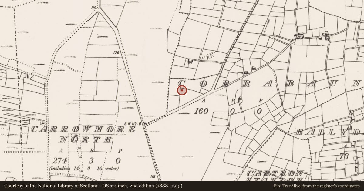 Ordnance Survey six-inch map, 2nd edition (1888–1915) covering the location of Souterrain, Corrabaun, County Mayo, with a pin at the register's coordinates