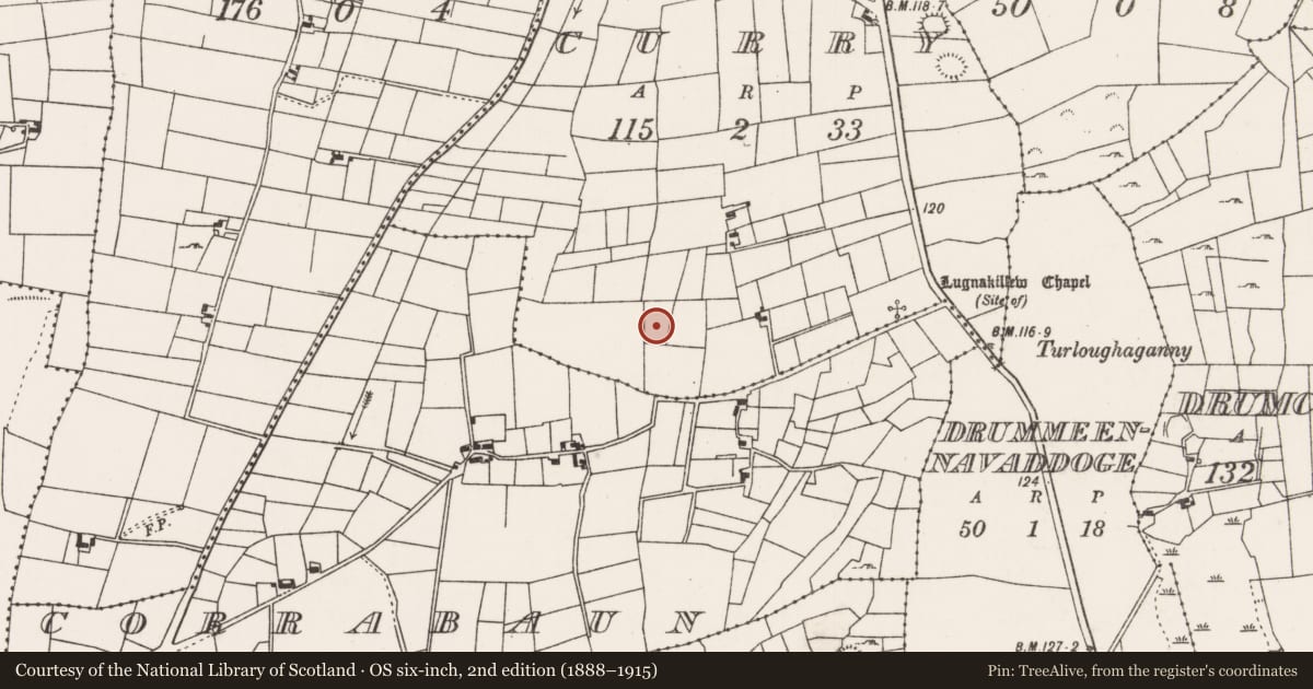 Ordnance Survey six-inch map, 2nd edition (1888–1915) covering the location of Barrow - ring-barrow, Curry (Carra By., Drum Par.), County Mayo, with a pin at the register's coordinates