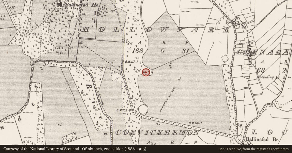 Ordnance Survey six-inch map, 2nd edition (1888–1915) covering the location of Ringfort - rath, Hollowpark, County Mayo, with a pin at the register's coordinates
