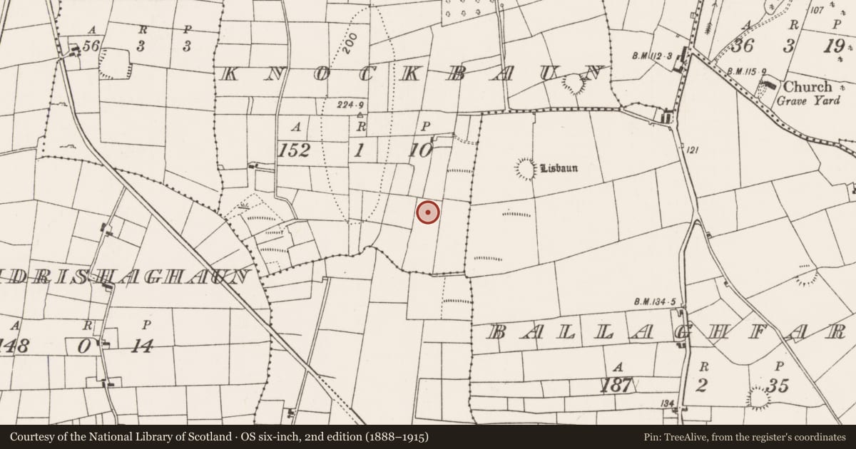 Ordnance Survey six-inch map, 2nd edition (1888–1915) covering the location of Fulacht fia, Knockbaun (Carra By., Drum Par.), County Mayo, with a pin at the register's coordinates