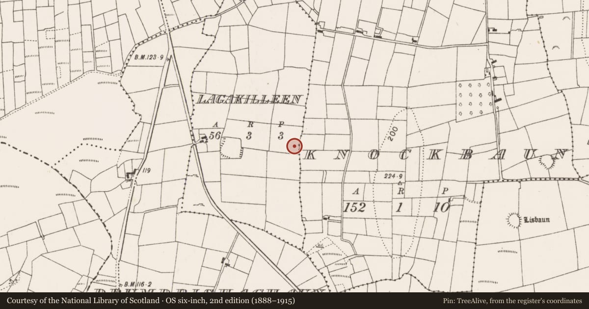 Ordnance Survey six-inch map, 2nd edition (1888–1915) covering the location of Standing stone, Lagakilleen, County Mayo, with a pin at the register's coordinates