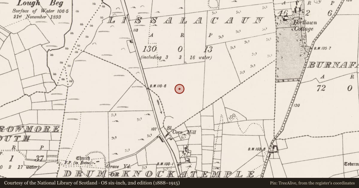 Ordnance Survey six-inch map, 2nd edition (1888–1915) covering the location of Ringfort - cashel, Lissalacaun, County Mayo, with a pin at the register's coordinates