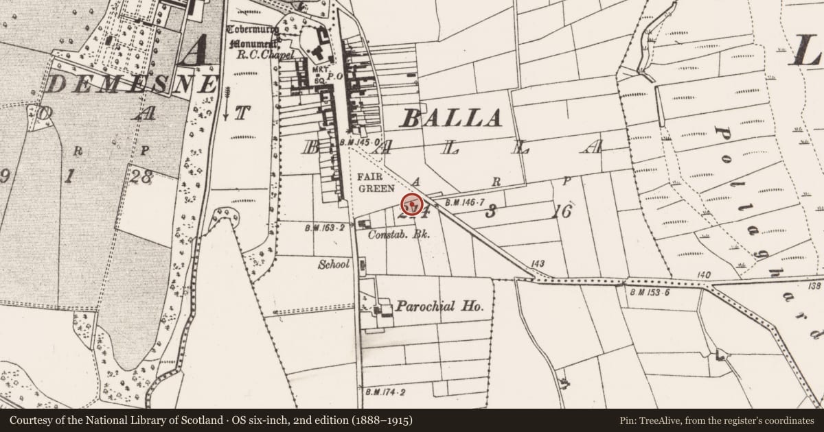 Ordnance Survey six-inch map, 2nd edition (1888–1915) covering the location of Stone head, Balla, County Mayo, with a pin at the register's coordinates