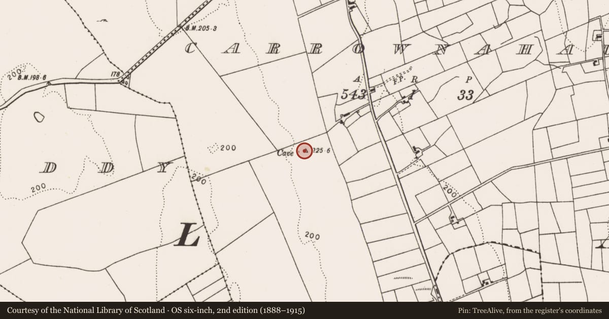 Ordnance Survey six-inch map, 2nd edition (1888–1915) covering the location of Souterrain, Carrownahaun, County Mayo, with a pin at the register's coordinates