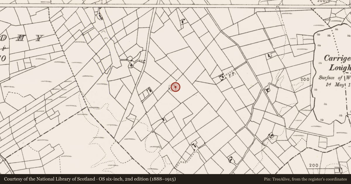 Ordnance Survey six-inch map, 2nd edition (1888–1915) covering the location of Ringfort - rath, Carrowndangan, County Mayo, with a pin at the register's coordinates