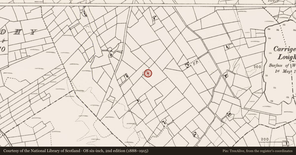 Ordnance Survey six-inch map, 2nd edition (1888–1915) covering the location of Souterrain, Carrowndangan, County Mayo, with a pin at the register's coordinates