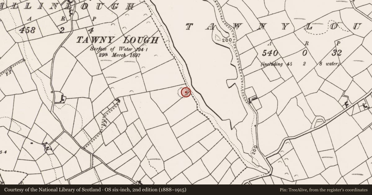 Ordnance Survey six-inch map, 2nd edition (1888–1915) covering the location of Ringfort - rath, Ballinlough, County Mayo, with a pin at the register's coordinates