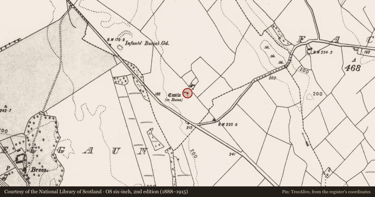 Ordnance Survey six-inch map, 2nd edition (1888–1915) covering the location of Castle - Anglo-Norman masonry castle, Brees, County Mayo, with a pin at the register's coordinates