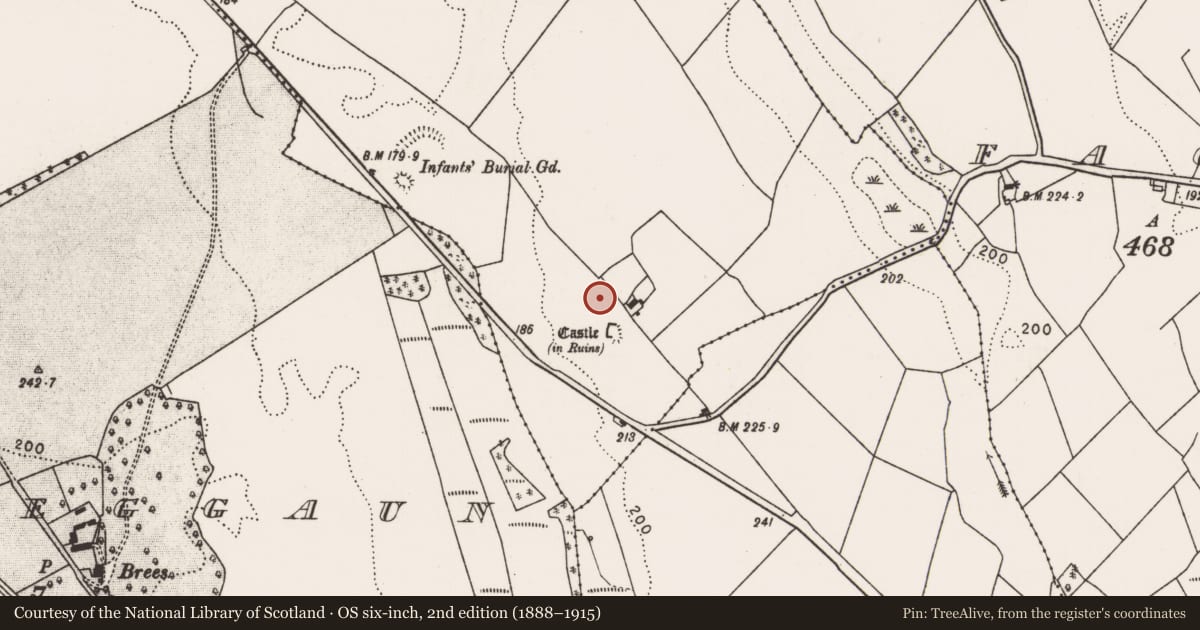 Ordnance Survey six-inch map, 2nd edition (1888–1915) covering the location of Field system, Brees, County Mayo, with a pin at the register's coordinates