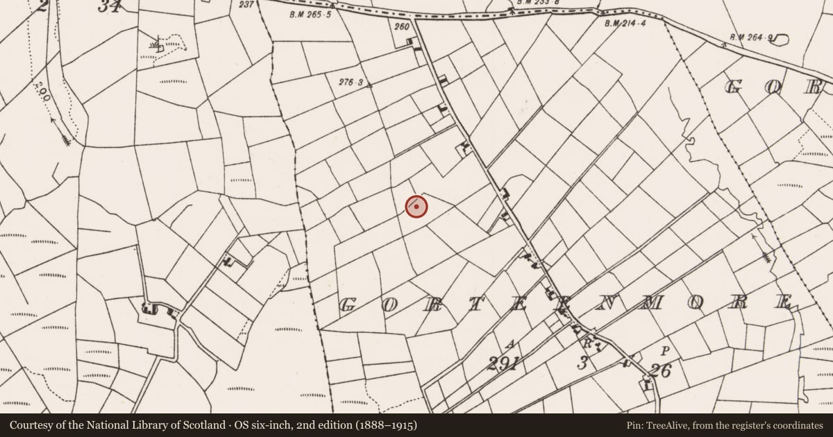 Ordnance Survey six-inch map, 2nd edition (1888–1915) covering the location of Enclosure, An Goirtín Mór, County Mayo, with a pin at the register's coordinates