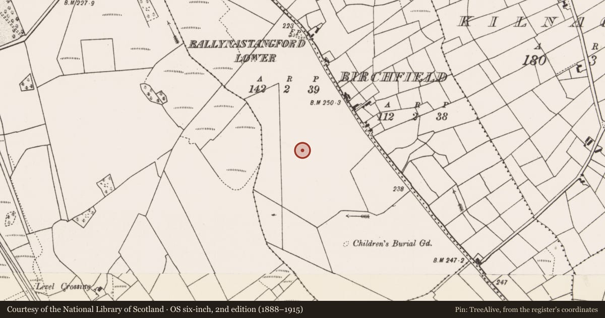 Ordnance Survey six-inch map, 2nd edition (1888–1915) covering the location of Megalithic tomb - court tomb, Ballynastangford Lower, County Mayo, with a pin at the register's coordinates