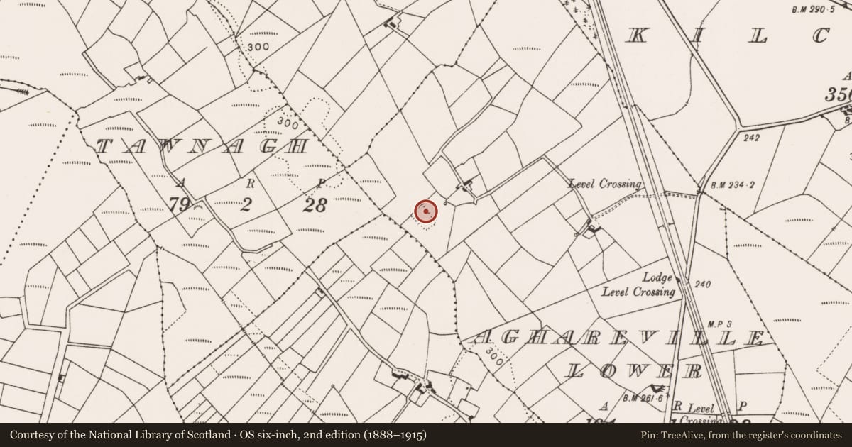 Ordnance Survey six-inch map, 2nd edition (1888–1915) covering the location of Moated site, Aghareville Lower, County Mayo, with a pin at the register's coordinates