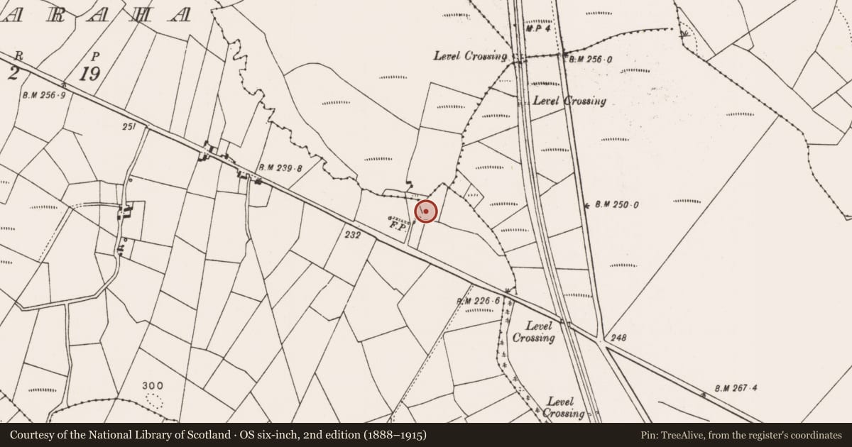 Ordnance Survey six-inch map, 2nd edition (1888–1915) covering the location of Mill - unclassified, Gortnaraha, County Mayo, with a pin at the register's coordinates