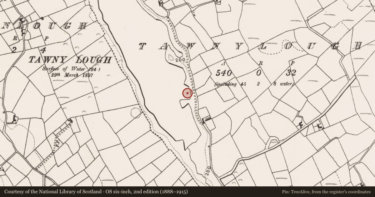 Ordnance Survey six-inch map, 2nd edition (1888–1915) covering the location of Causeway, Tawnylough, County Mayo, with a pin at the register's coordinates