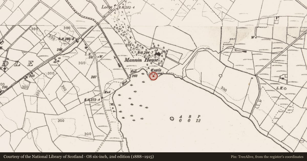 Ordnance Survey six-inch map, 2nd edition (1888–1915) covering the location of Castle - unclassified, Mannin, County Mayo, with a pin at the register's coordinates