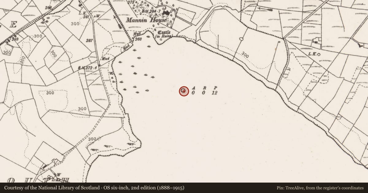 Ordnance Survey six-inch map, 2nd edition (1888–1915) covering the location of Crannog, Mannin Lake, County Mayo, with a pin at the register's coordinates
