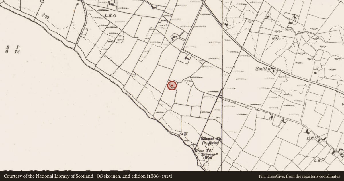 Ordnance Survey six-inch map, 2nd edition (1888–1915) covering the location of Ringfort - rath, Mountain Common, County Mayo, with a pin at the register's coordinates