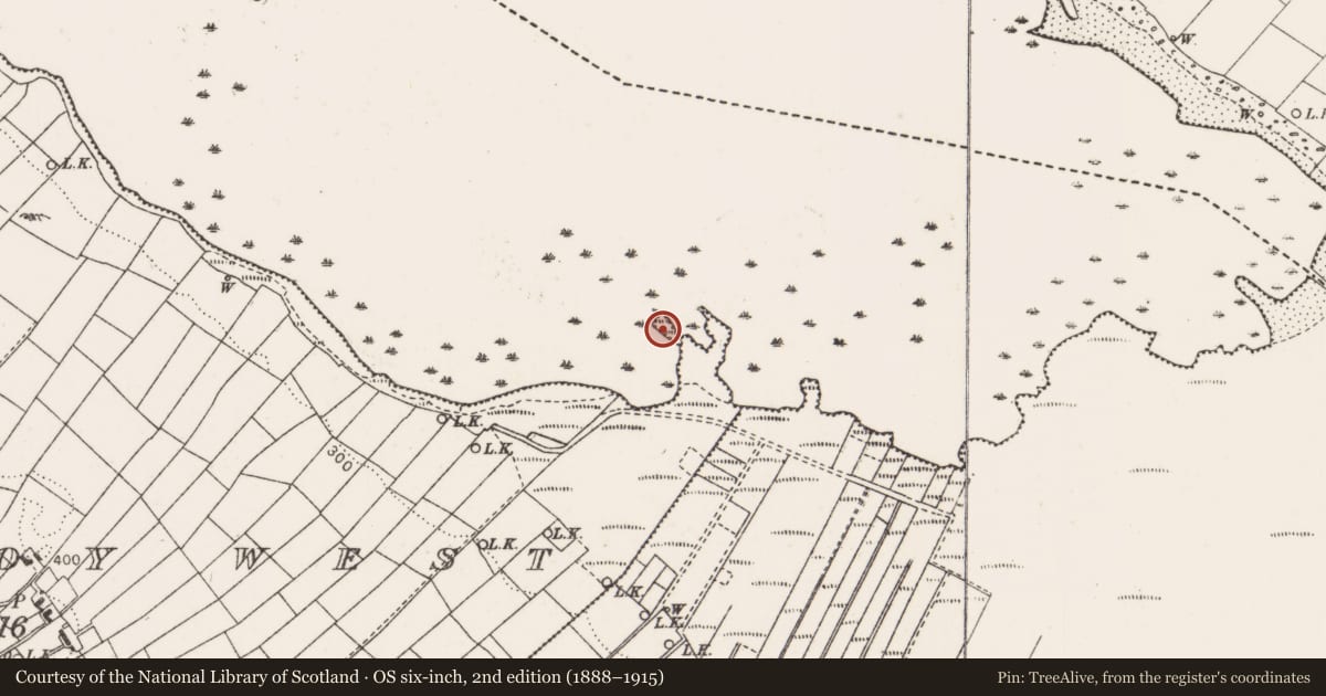 Ordnance Survey six-inch map, 2nd edition (1888–1915) covering the location of Crannog, Larganboy West, County Mayo, with a pin at the register's coordinates