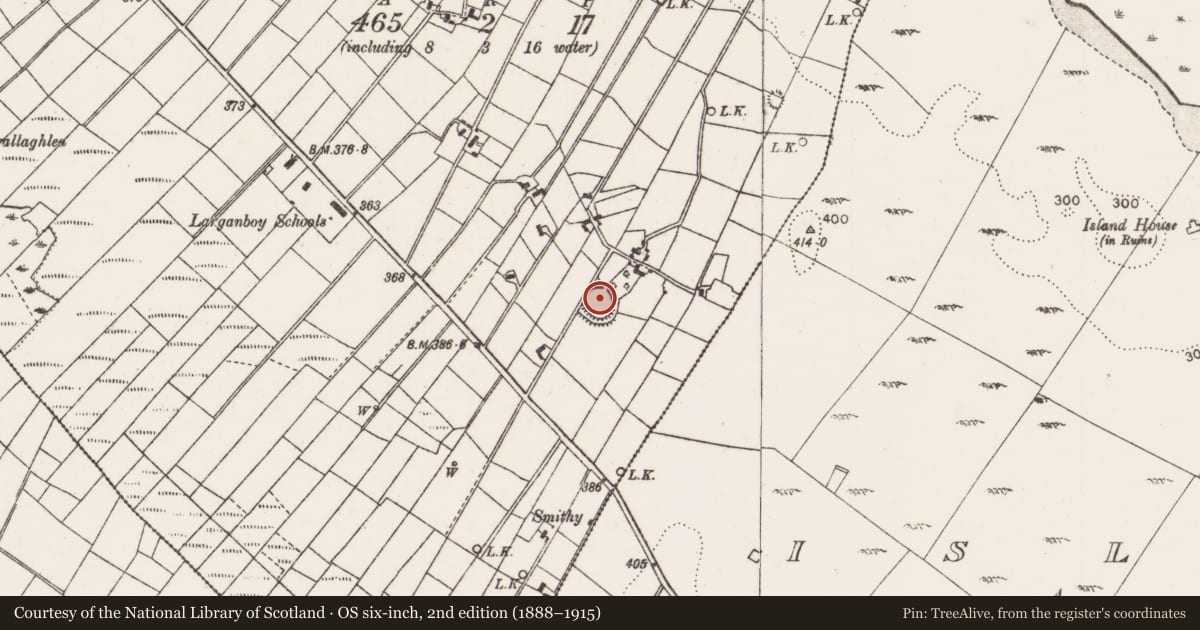 Ordnance Survey six-inch map, 2nd edition (1888–1915) covering the location of Ringfort - rath, Larganboy East, County Mayo, with a pin at the register's coordinates