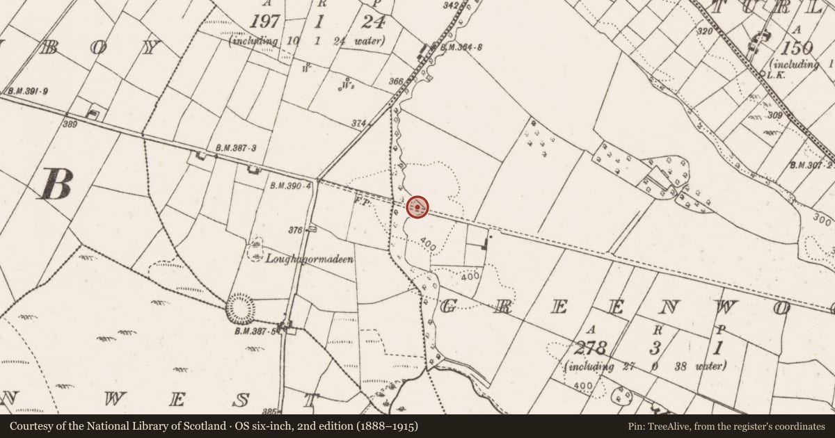 Ordnance Survey six-inch map, 2nd edition (1888–1915) covering the location of Megalithic tomb - wedge tomb, Greenwood, County Mayo, with a pin at the register's coordinates