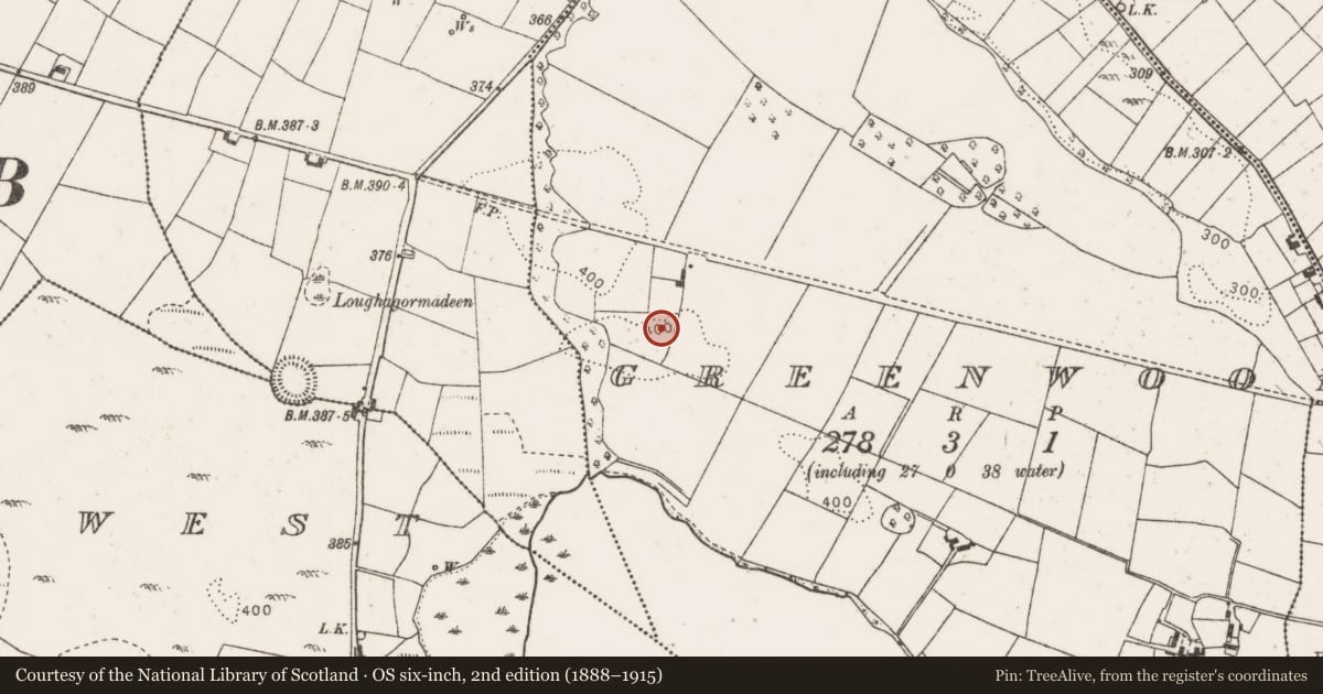 Ordnance Survey six-inch map, 2nd edition (1888–1915) covering the location of Enclosure, Greenwood, County Mayo, with a pin at the register's coordinates