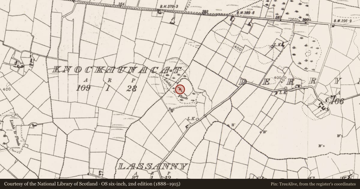 Ordnance Survey six-inch map, 2nd edition (1888–1915) covering the location of Crannog, Lassanny, County Mayo, with a pin at the register's coordinates