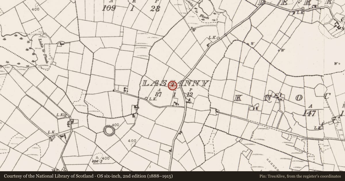 Ordnance Survey six-inch map, 2nd edition (1888–1915) covering the location of Ringfort - rath, Lassanny, County Mayo, with a pin at the register's coordinates