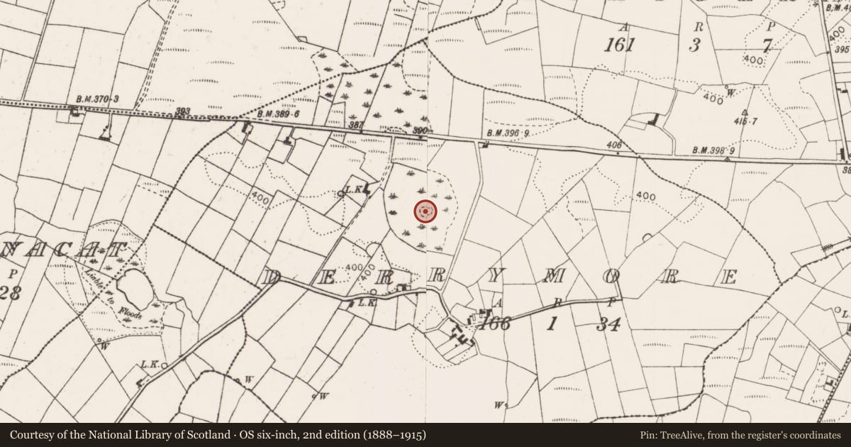 Ordnance Survey six-inch map, 2nd edition (1888–1915) covering the location of Crannog, Derrymore, County Mayo, with a pin at the register's coordinates