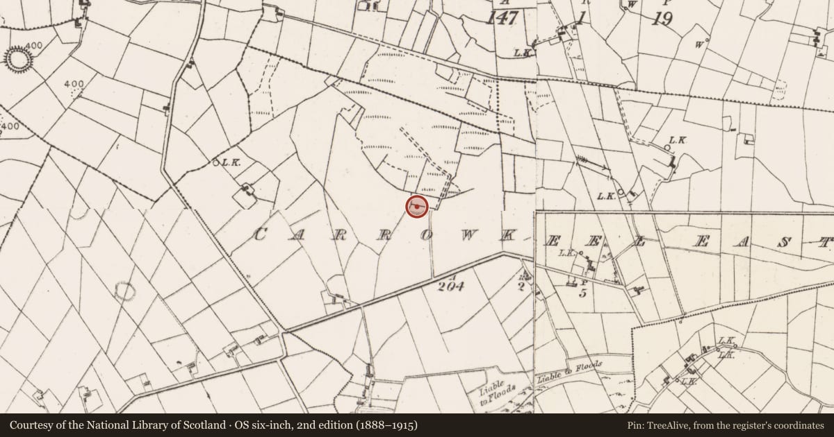 Ordnance Survey six-inch map, 2nd edition (1888–1915) covering the location of Ringfort - rath, Carrowkeel East, County Mayo, with a pin at the register's coordinates