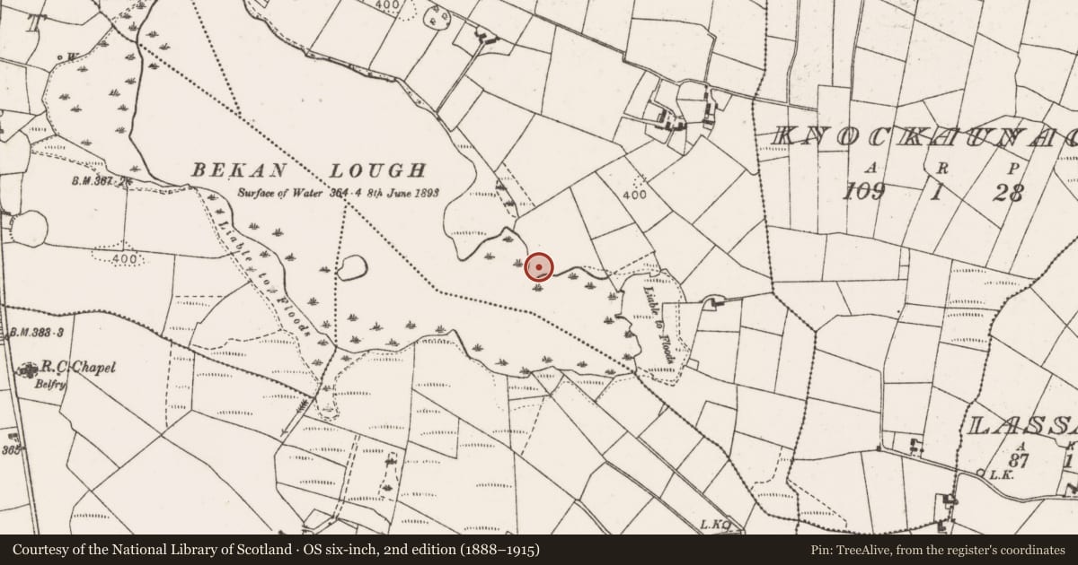 Ordnance Survey six-inch map, 2nd edition (1888–1915) covering the location of Burnt mound, Greenwood, County Mayo, with a pin at the register's coordinates