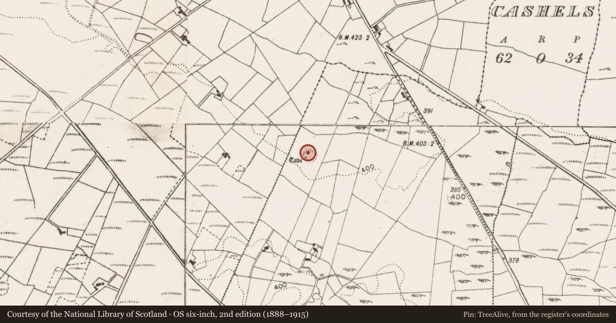 Ordnance Survey six-inch map, 2nd edition (1888–1915) covering the location of Ringfort - rath, Carrowneden (Costello By., Aghamore Par.), County Mayo, with a pin at the register's coordinates