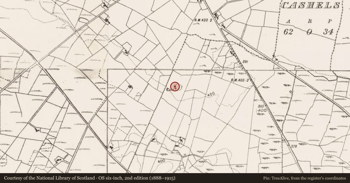 Ordnance Survey six-inch map, 2nd edition (1888–1915) covering the location of Souterrain, Carrowneden (Costello By., Aghamore Par.), County Mayo, with a pin at the register's coordinates