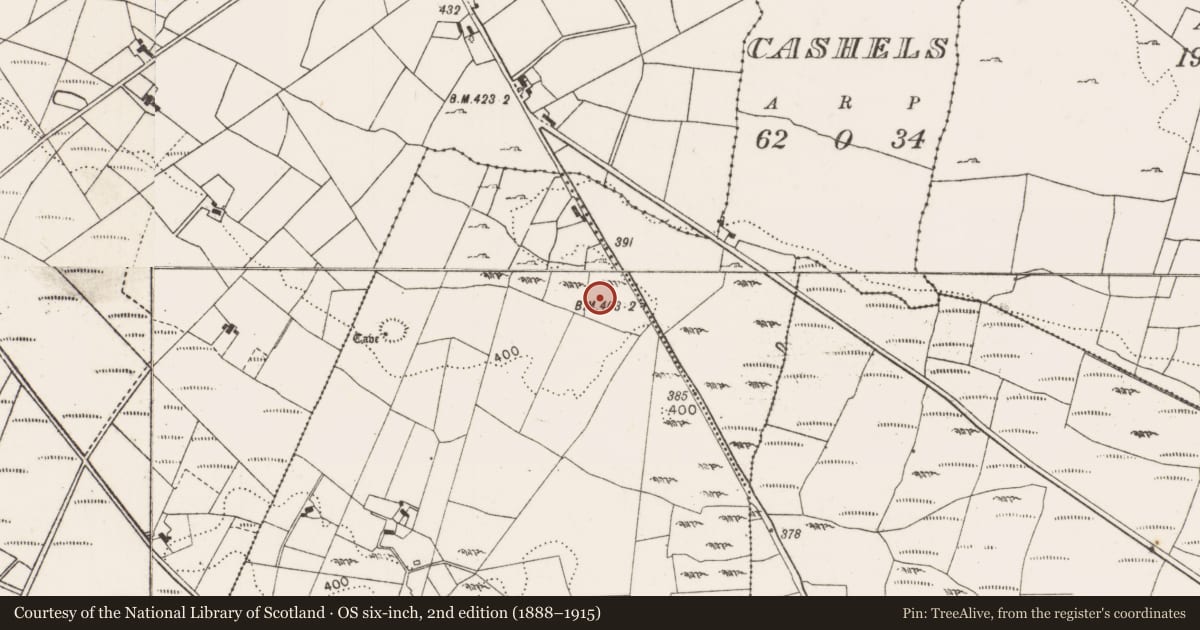 Ordnance Survey six-inch map, 2nd edition (1888–1915) covering the location of Souterrain, Carrowneden (Costello By., Aghamore Par.), County Mayo, with a pin at the register's coordinates