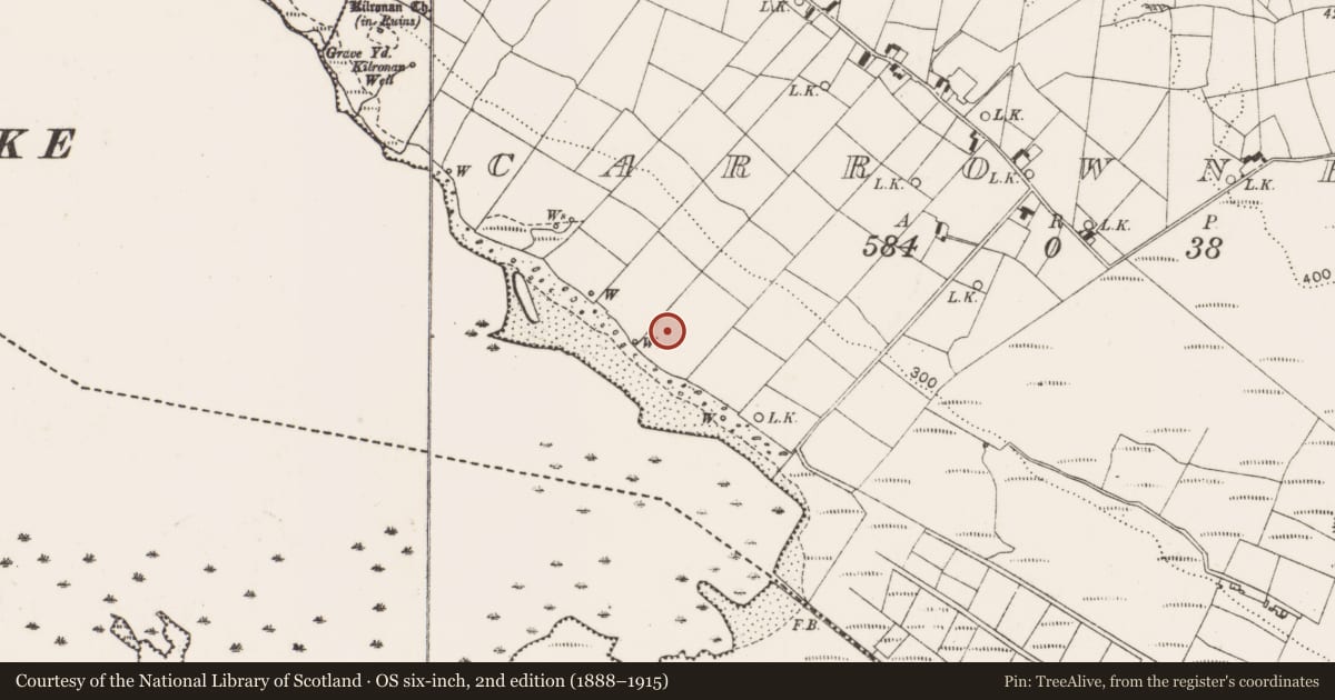 Ordnance Survey six-inch map, 2nd edition (1888–1915) covering the location of Enclosure, Carrowneden (Costello By., Aghamore Par.), County Mayo, with a pin at the register's coordinates