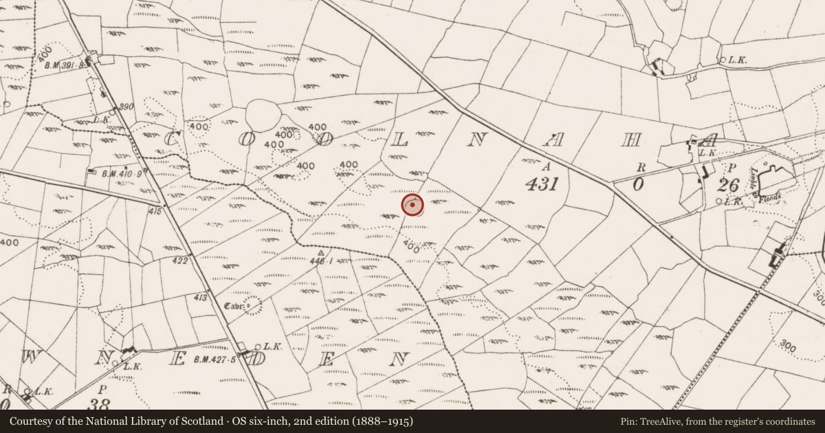 Ordnance Survey six-inch map, 2nd edition (1888–1915) covering the location of Ringfort - cashel, Coolnaha North, County Mayo, with a pin at the register's coordinates
