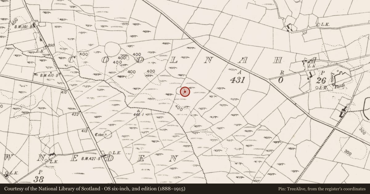 Ordnance Survey six-inch map, 2nd edition (1888–1915) covering the location of Hut site, Coolnaha North, County Mayo, with a pin at the register's coordinates