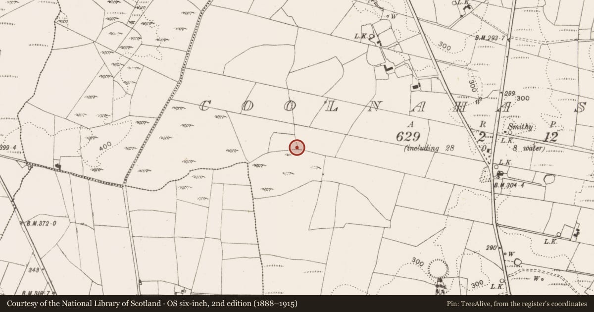 Ordnance Survey six-inch map, 2nd edition (1888–1915) covering the location of Cross-inscribed stone, Coolnaha South, County Mayo, with a pin at the register's coordinates