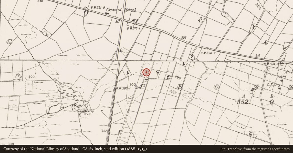 Ordnance Survey six-inch map, 2nd edition (1888–1915) covering the location of Barrow - ring-barrow, Crossard, County Mayo, with a pin at the register's coordinates