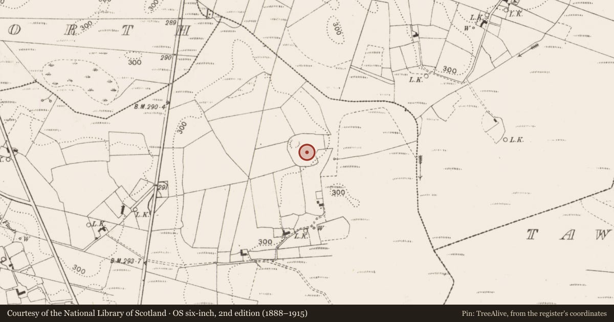 Ordnance Survey six-inch map, 2nd edition (1888–1915) covering the location of Bullaun stone, Coolnaha South, County Mayo, with a pin at the register's coordinates
