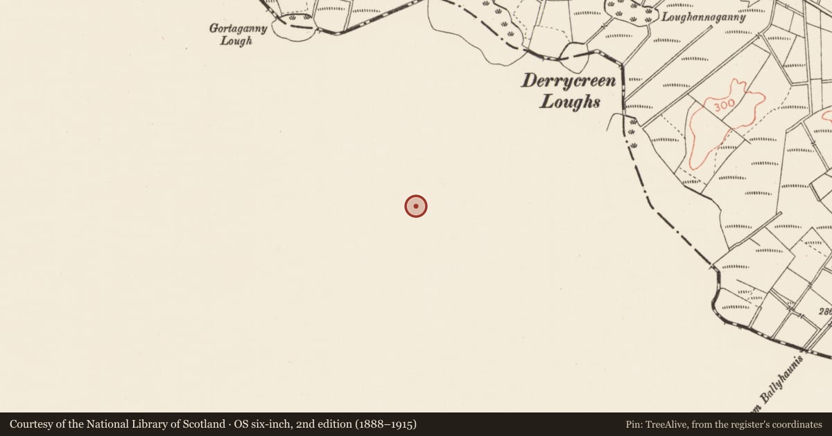 Ordnance Survey six-inch map, 2nd edition (1888–1915) covering the location of Children's burial ground, Brackloon North, County Mayo, with a pin at the register's coordinates