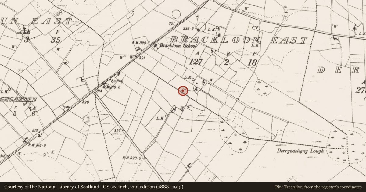 Ordnance Survey six-inch map, 2nd edition (1888–1915) covering the location of Ringfort - rath, Brackloon East, Brackloon South, County Mayo, with a pin at the register's coordinates