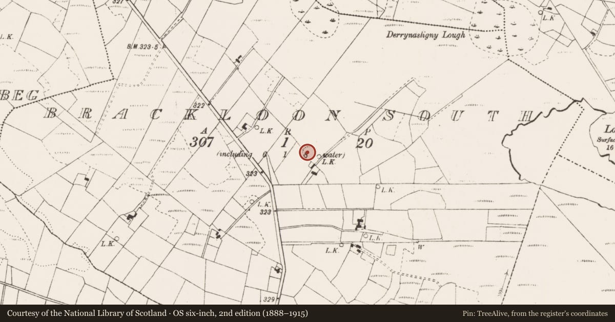 Ordnance Survey six-inch map, 2nd edition (1888–1915) covering the location of Souterrain, Brackloon South, County Mayo, with a pin at the register's coordinates