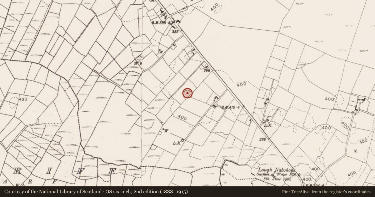 Ordnance Survey six-inch map, 2nd edition (1888–1915) covering the location of Ringfort - rath, Island, County Mayo, with a pin at the register's coordinates