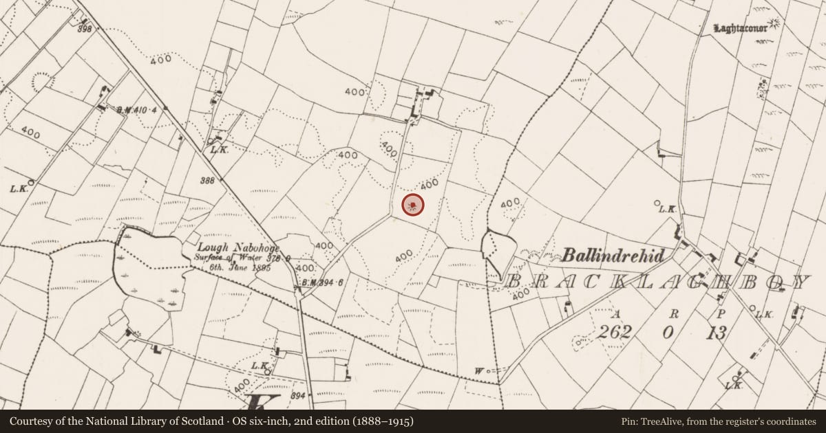 Ordnance Survey six-inch map, 2nd edition (1888–1915) covering the location of Ogham stone, Island, County Mayo, with a pin at the register's coordinates