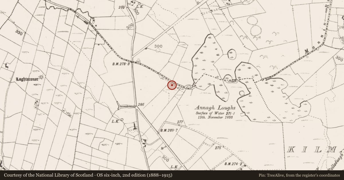 Ordnance Survey six-inch map, 2nd edition (1888–1915) covering the location of Fulacht fia, Tooraree, County Mayo, with a pin at the register's coordinates