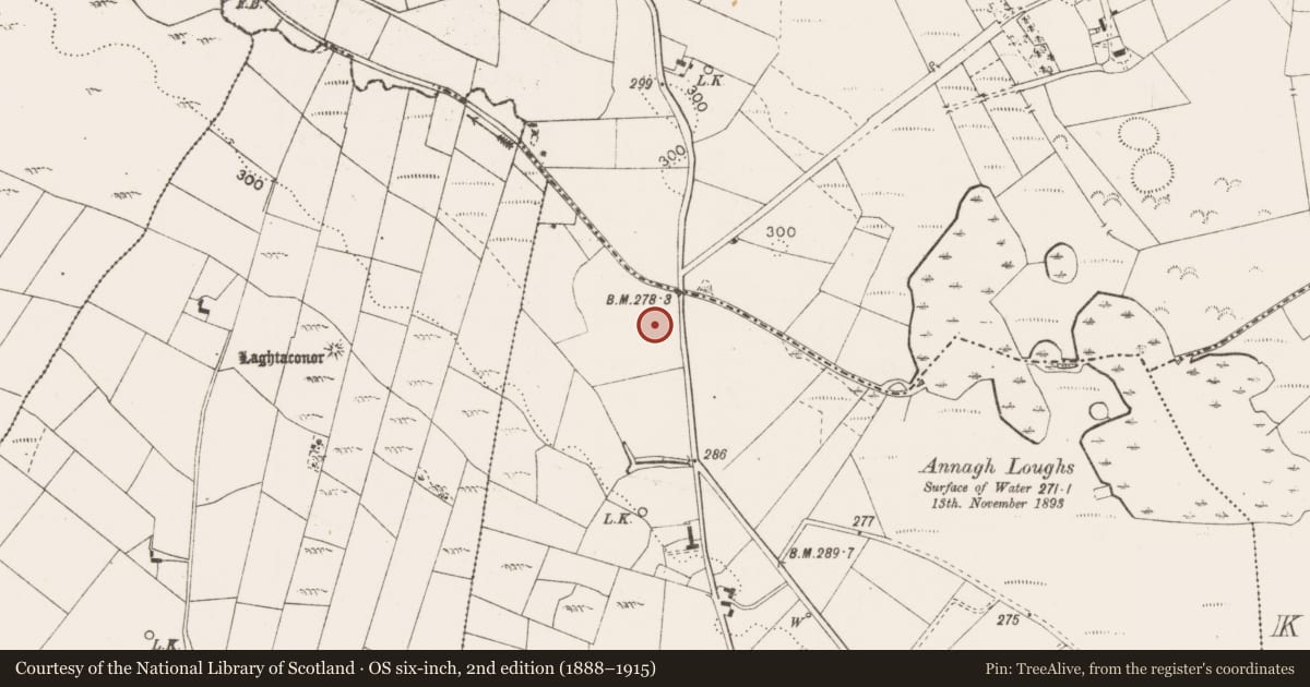 Ordnance Survey six-inch map, 2nd edition (1888–1915) covering the location of Mound, Tooraree, County Mayo, with a pin at the register's coordinates